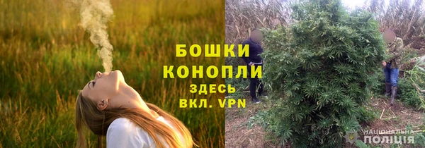 спайс Белокуриха