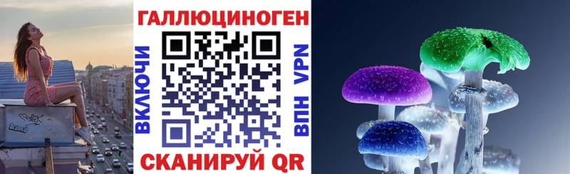 где можно купить наркотик  ссылка на мегу сайт  Псилоцибиновые грибы Magic Shrooms  Кузнецк 